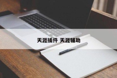 天涯插件 天涯辅助