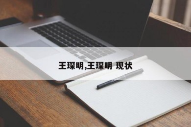 王琛明,王琛明 现状