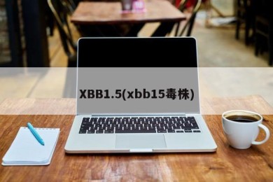 XBB1.5(xbb15毒株)