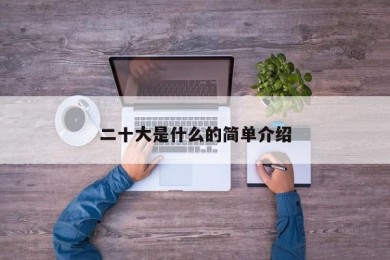 二十大是什么的简单介绍