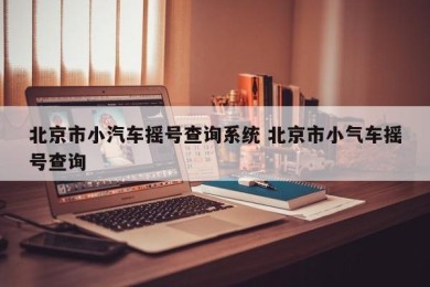 北京市小汽车摇号查询系统 北京市小气车摇号查询