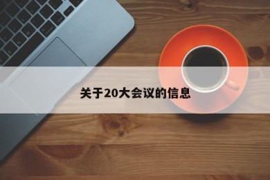 关于20大会议的信息