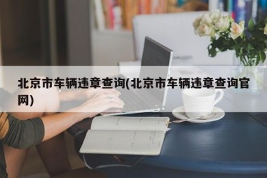 北京市车辆违章查询(北京市车辆违章查询官网)