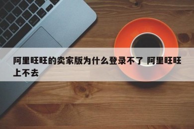 阿里旺旺的卖家版为什么登录不了 阿里旺旺上不去